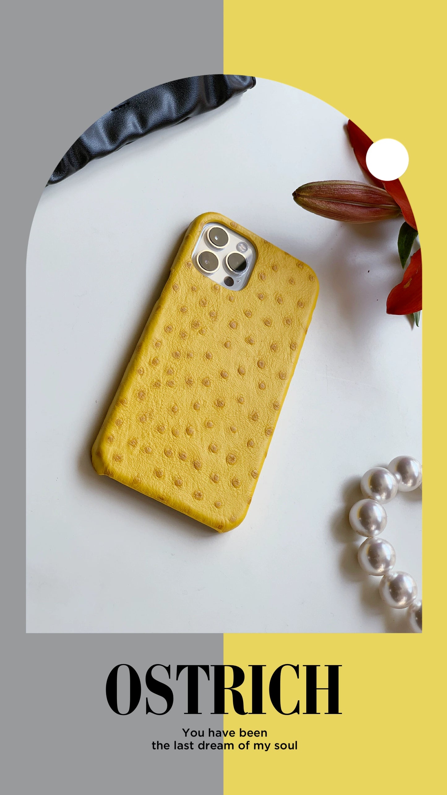 Cheese yellow retro noble ostrich