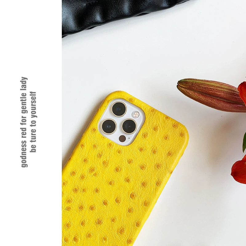 Cheese yellow retro noble ostrich